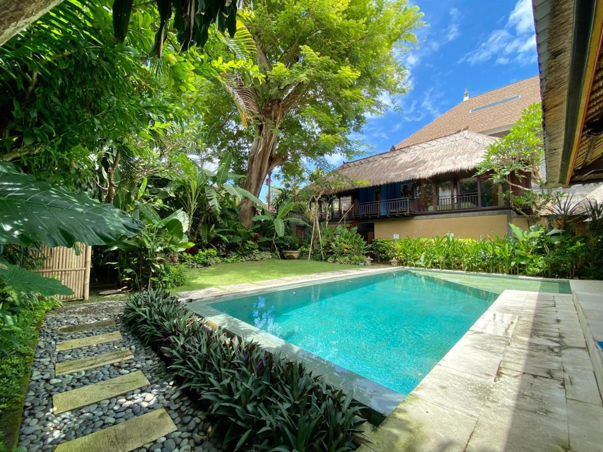 Little Tree House 2*
