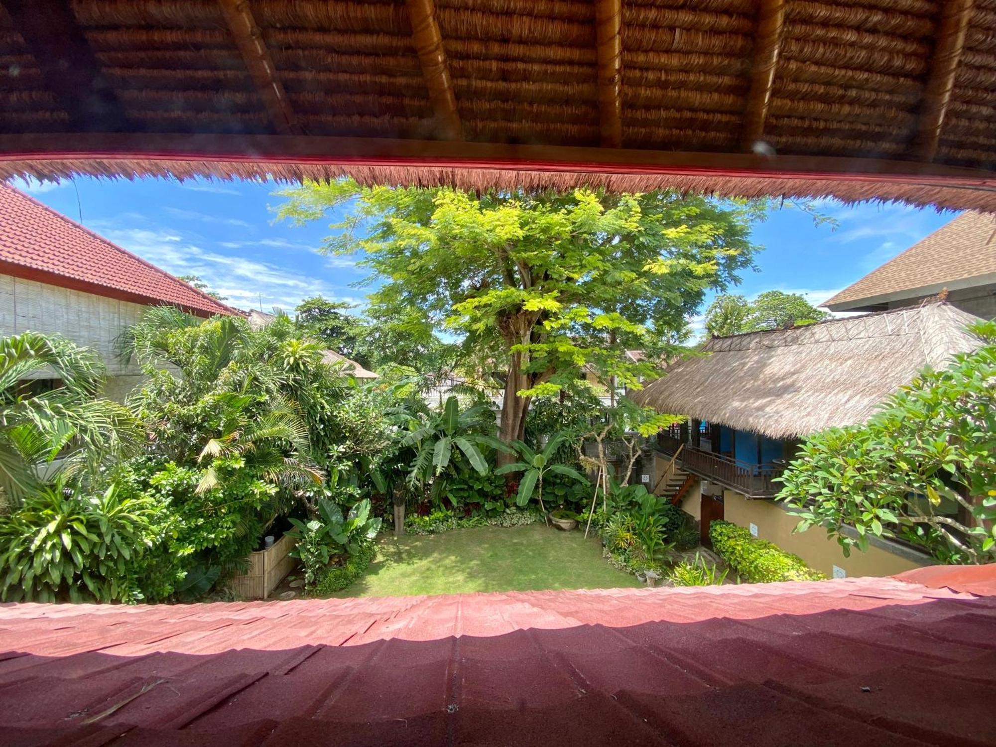 Little Tree House Wisma tamu Sanur (Bali)